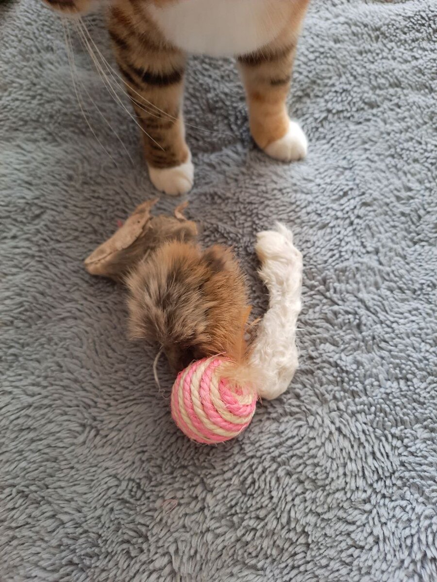 Натуральные мышки из кожи  шерсти кролика 