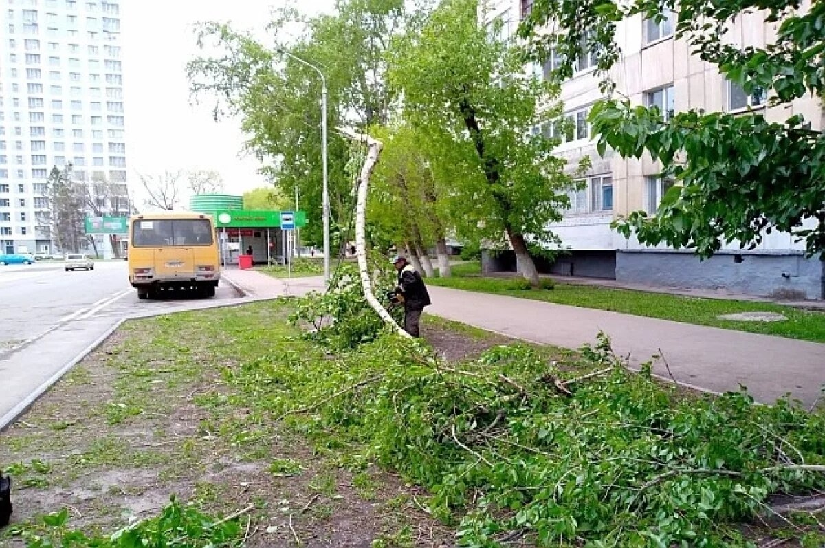    Сильный ветер в Уфе повредил пять автомобилей и снес профнастил со школы