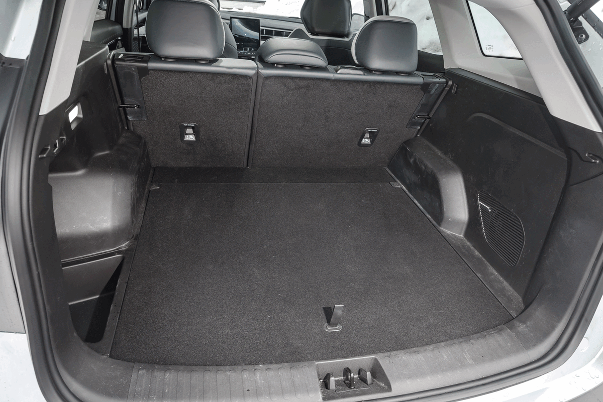    Дмитрий Питерский