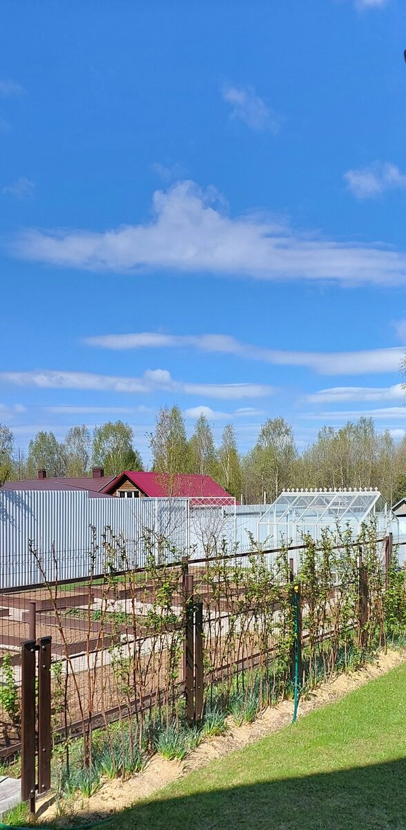 Блинчики с припёком.