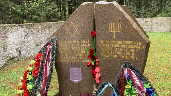    © Sputnik / Екатерина Воробьева