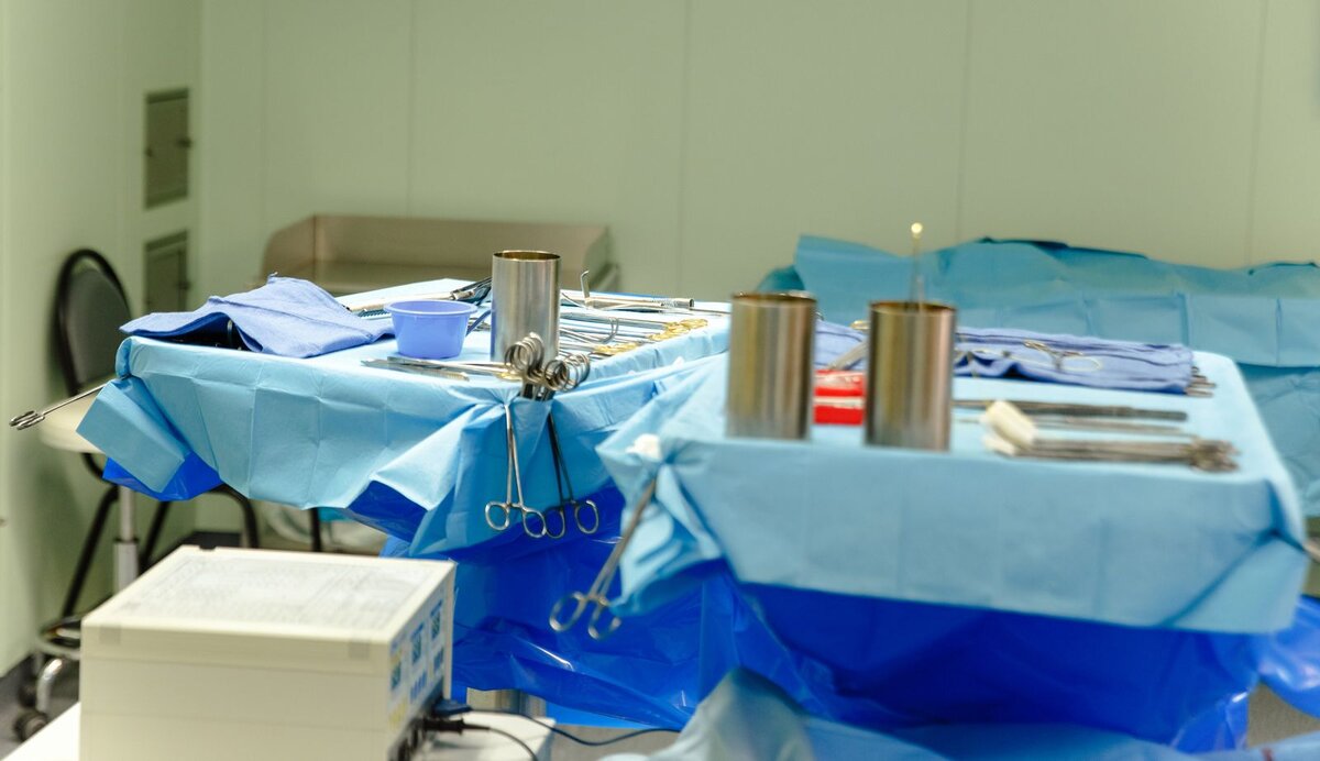 Фото: Елена ИВАНОВА  📷
