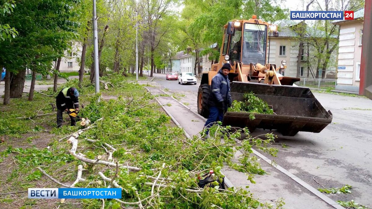    В Уфе из-за сильного ветра упало ограждение: пострадала женщина