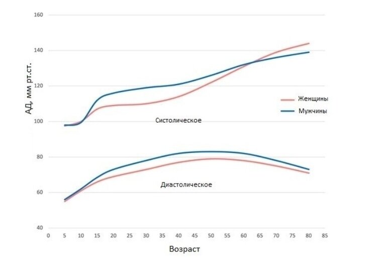 Кривые артериального давления у мужчин и у женщин в зависимости от возраста
