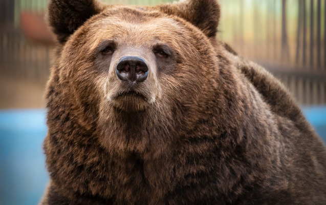    Фото Дмитрия Локтионова AlinaNews