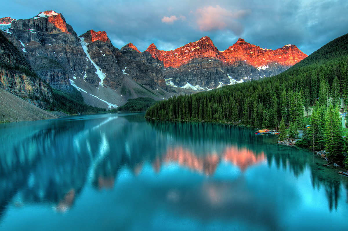 Леса Ниагары