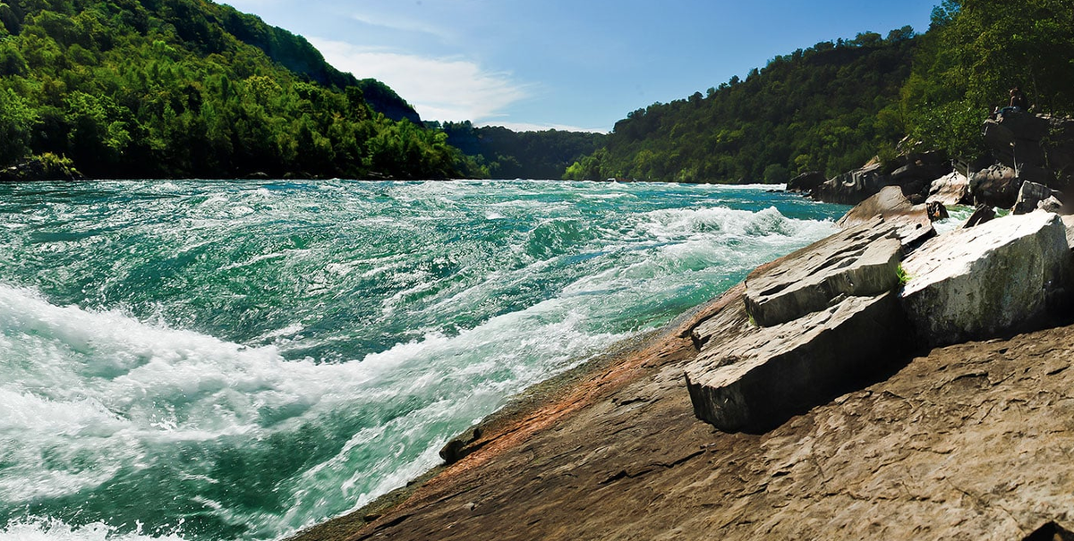 Леса Ниагары