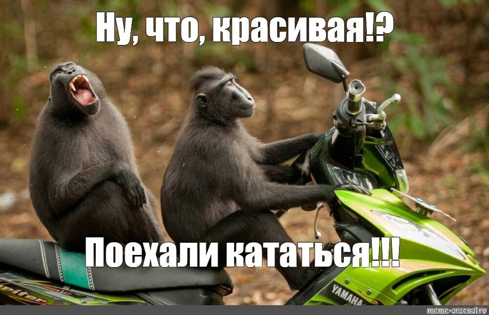 Эх, Женёк, по-моему, сегодня последний день Помпеи)))