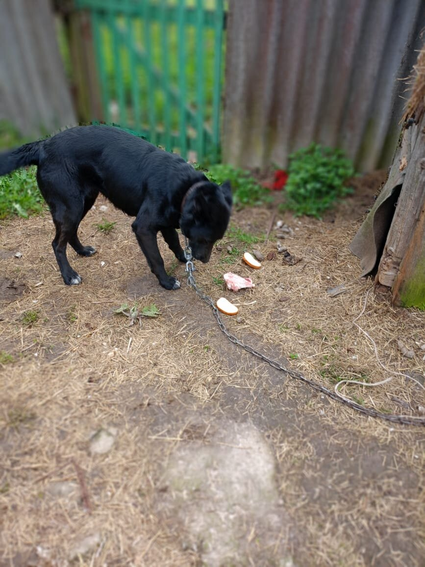 Рада нашему вниманию и каждому кусочку