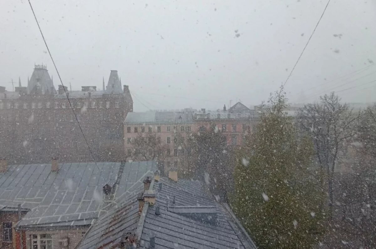    На Петербург идёт холод, а к 9 мая в городе может пойти снег