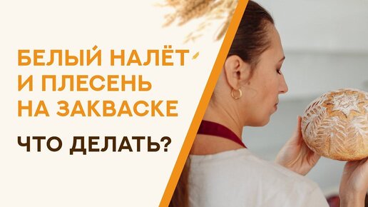 Белый налёт и плесень на закваске, что делать