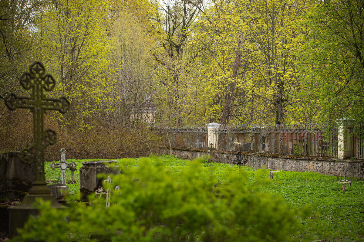 Фото автора.