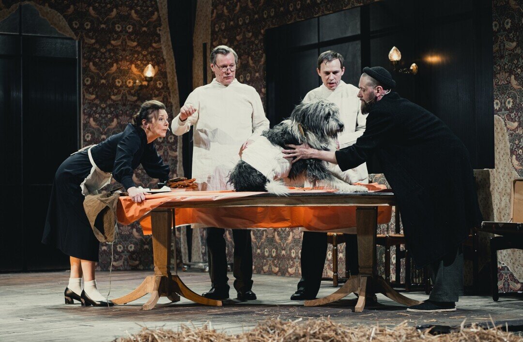    Спектакль "Собачье сердце", МТЮЗ (Москва) Фото: Изображение предоставлено организаторами фестиваля