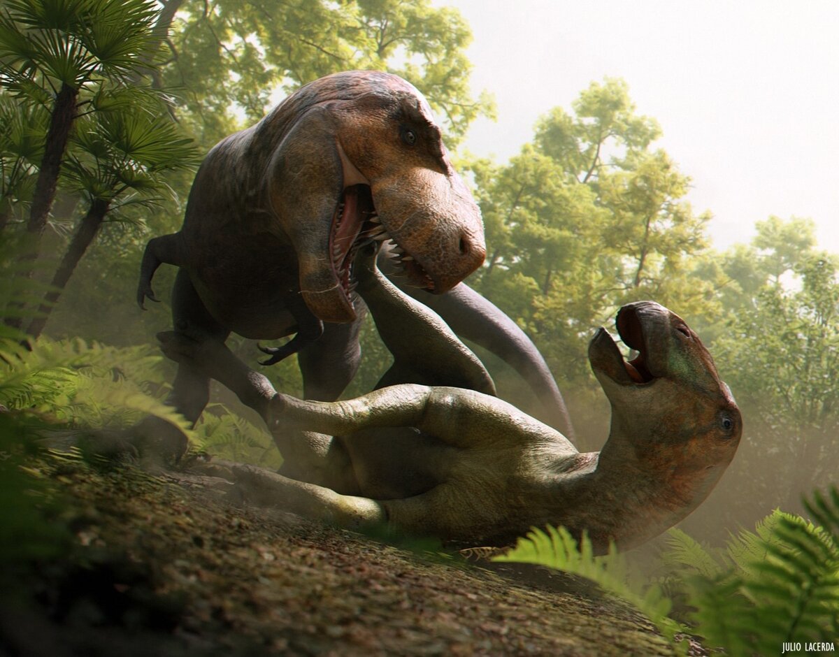 Тираннозавр рекс охотится на эдмонтозавра.