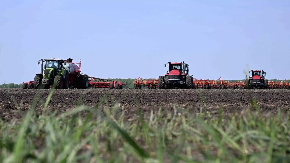 © Photo : Пресс-служба президента Казахстана, архивное фото