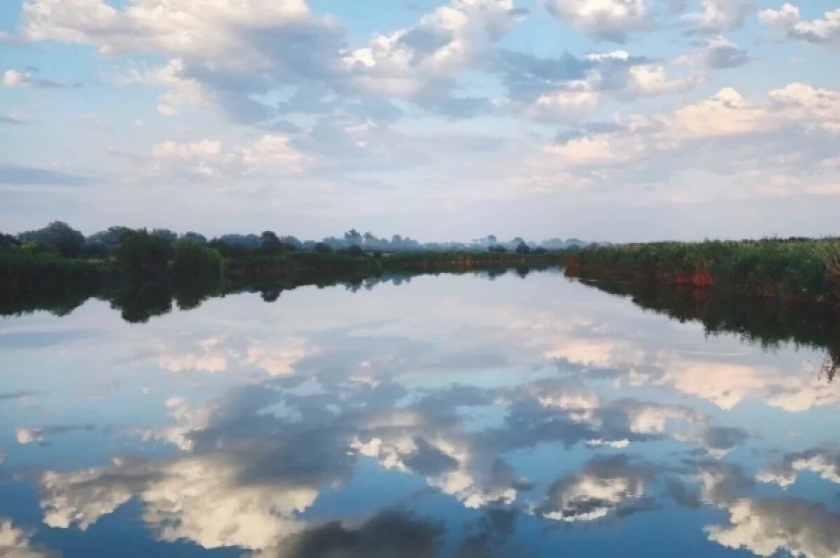    В Краснодарском крае 6 апреля воздух прогреется до +20 градусов