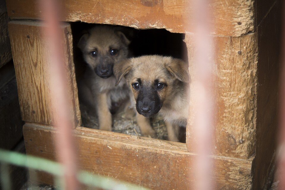    Тематическое фото Юлия ПЫХАЛОВА