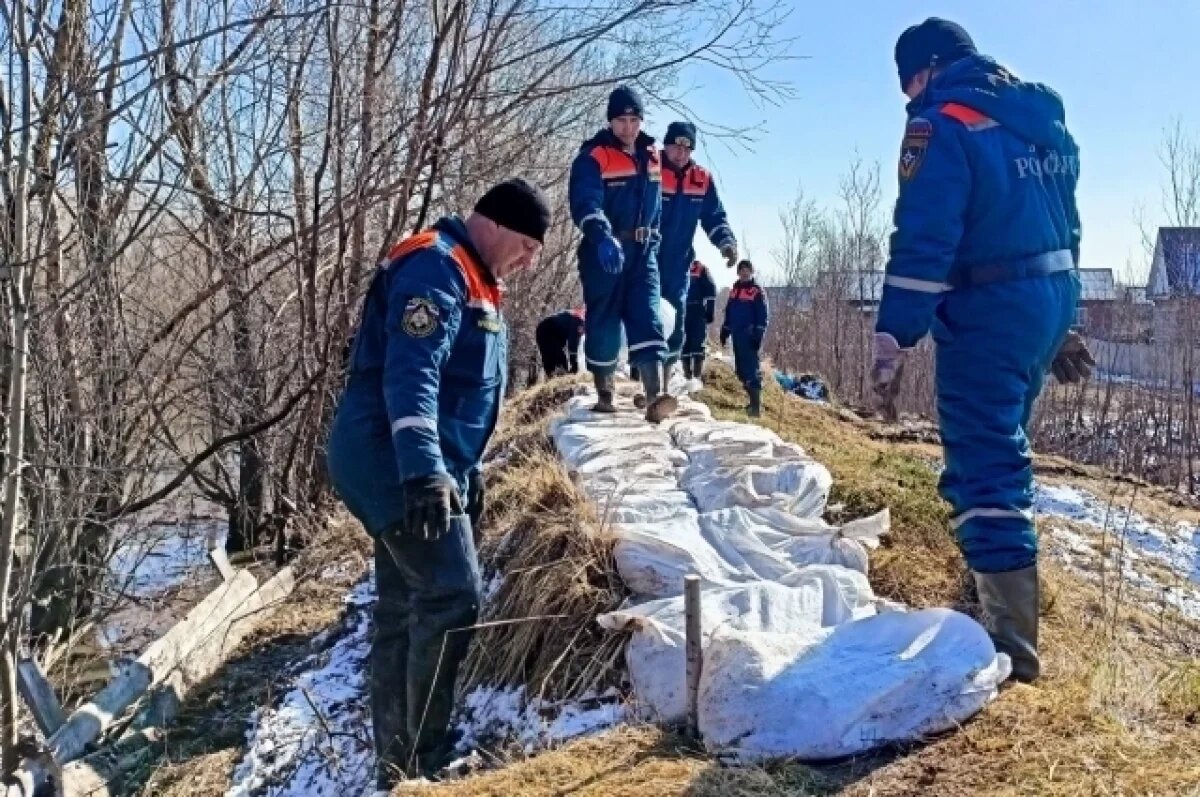    МЧС продолжает укреплять насыпи в Усть-Ишимском районе Омской области