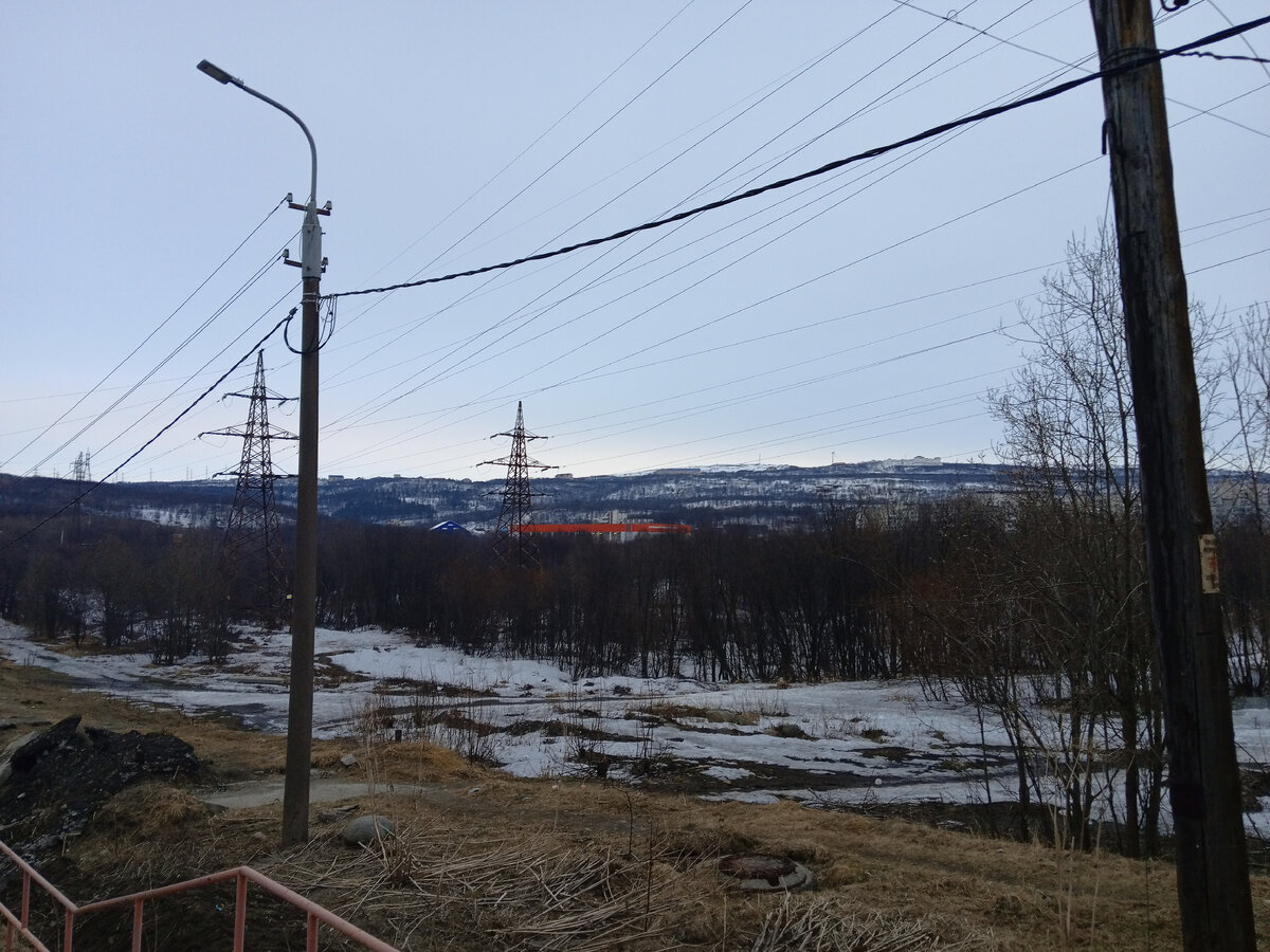 Вон этот красавец выглядывает из-за рельефа