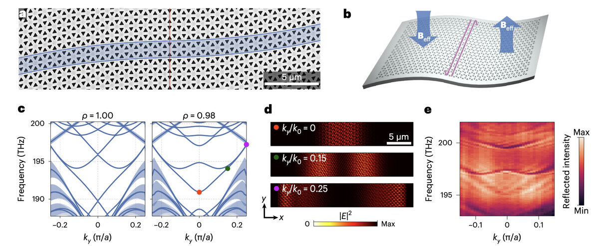   René Barczyk et al. / Nature Photonics, 2024