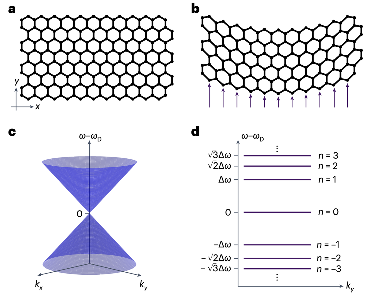   Maria Barsukova et al. / Nature Photonics, 2024