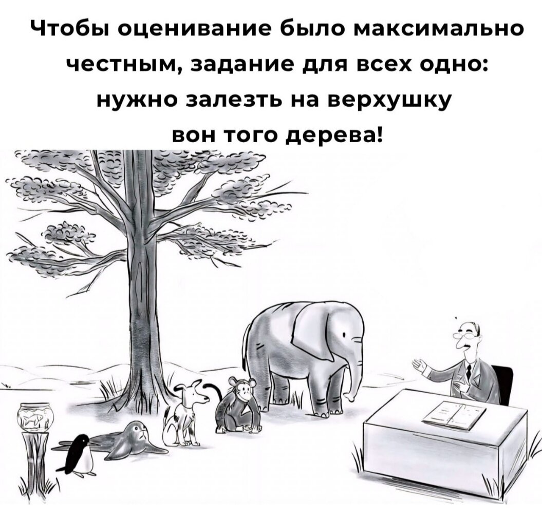 Фото из интернета. Мне кажется очень точно передаёт нашу систему образования
