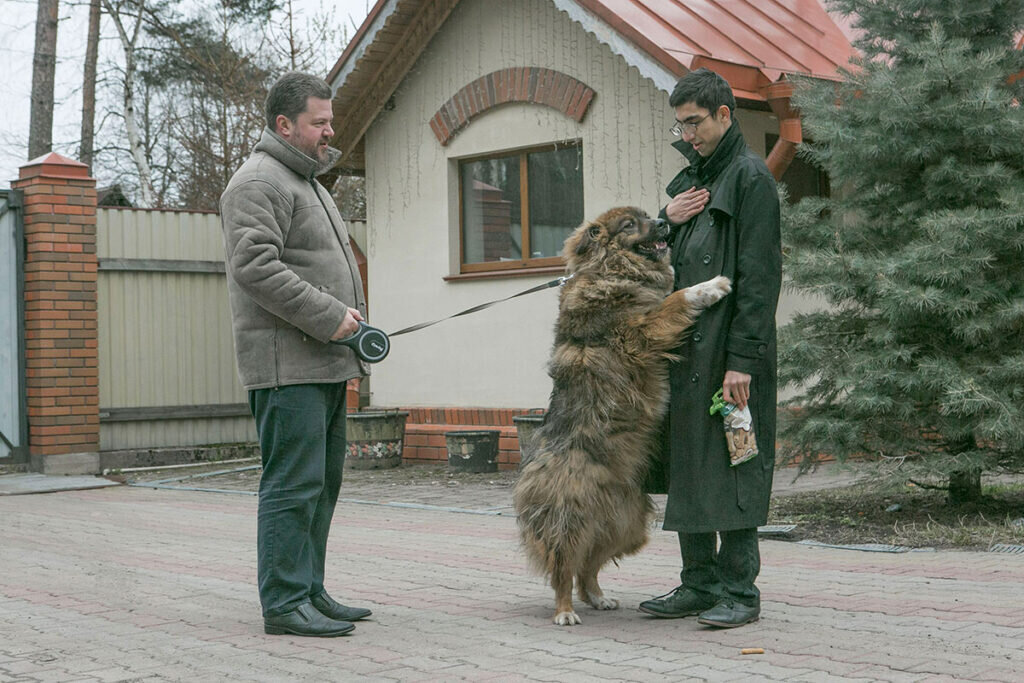 Кто взял под опеку деревню простаковых. Кто взял под опеку деревню простаковых