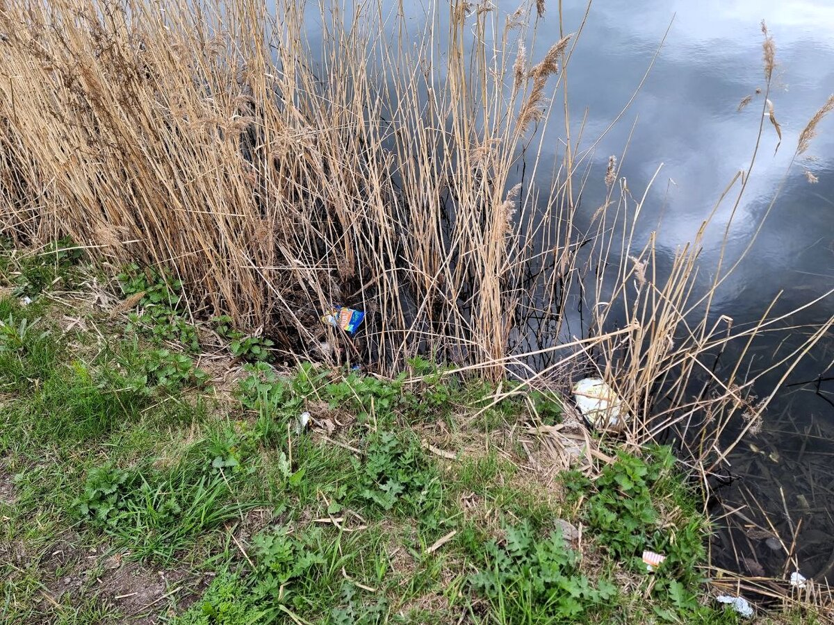 Мусор везде, мусор вокруг