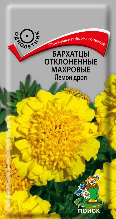 Бархатцы отклоненные махровые Лемон дроп