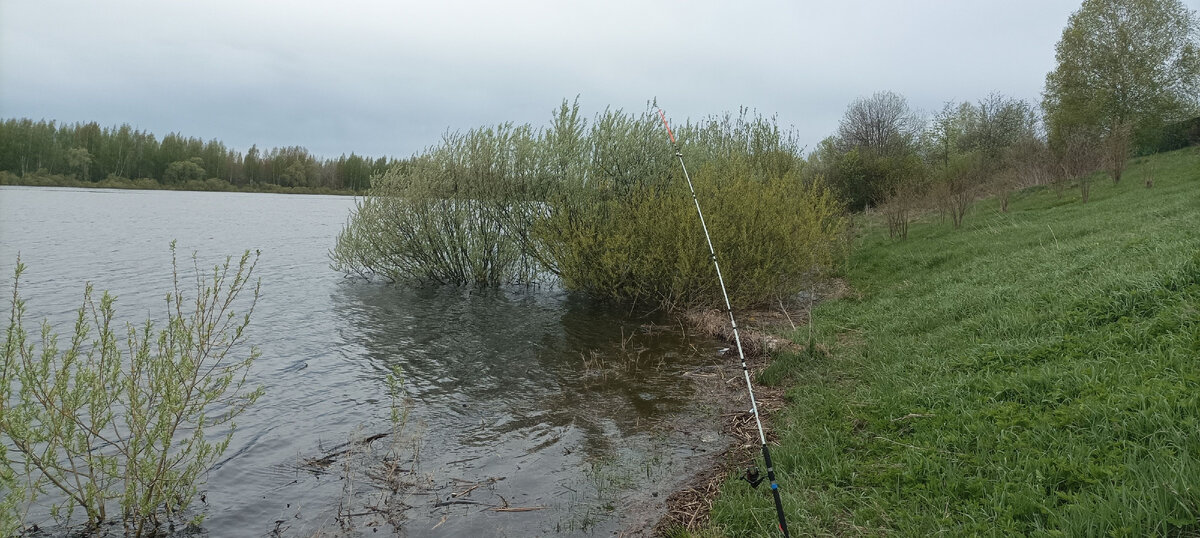 Излюбленные рыбные места