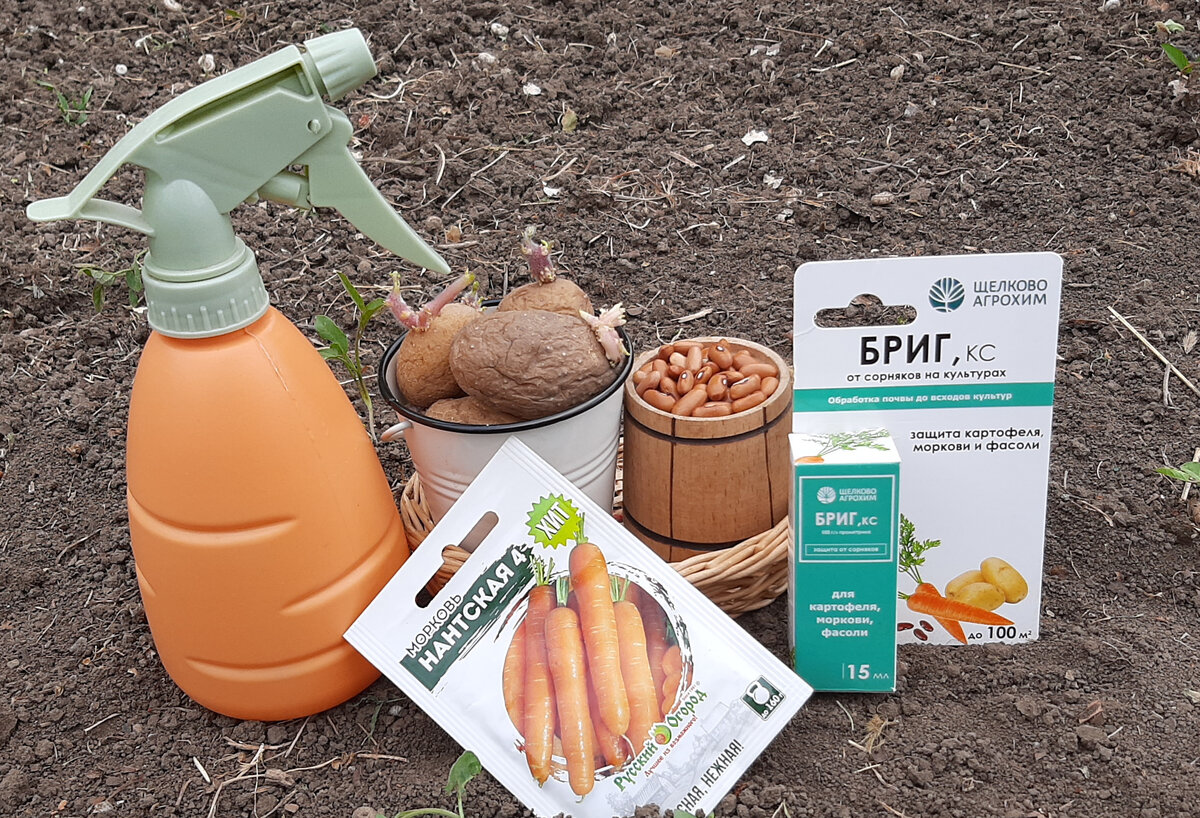    «Бриг» уничтожит сорняки и не причинит вреда культурам. Реклама. АО «Щелково Агрохим» ИНН: 5050029646 ERID: 2SDnjdq5AGy