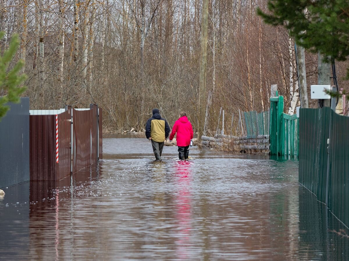 Еще один дачный поселок затопило в Карелии | Карелия.Ньюс. Новости  Петрозаводска | Дзен