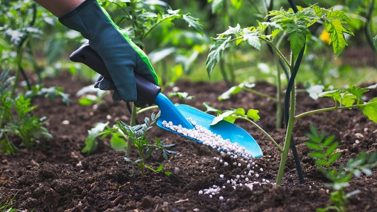 Стоит записывать, что и когда вы добавили в почву