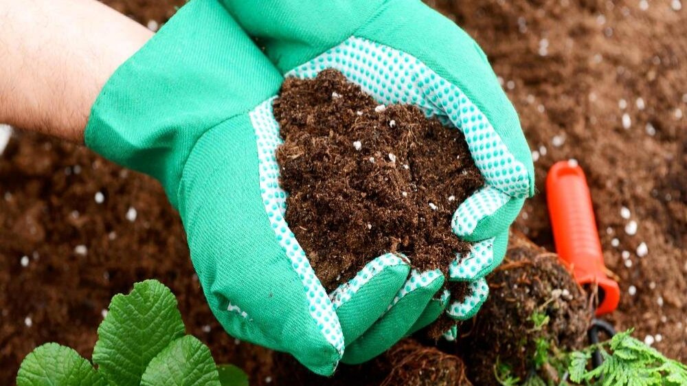 Органика повышает влагоемкость и плодородие песчаных почв