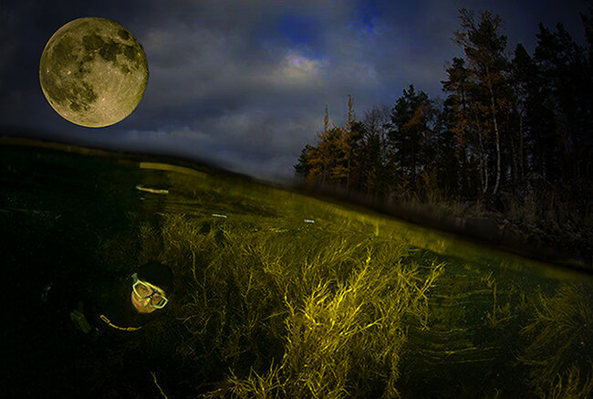 от автора...