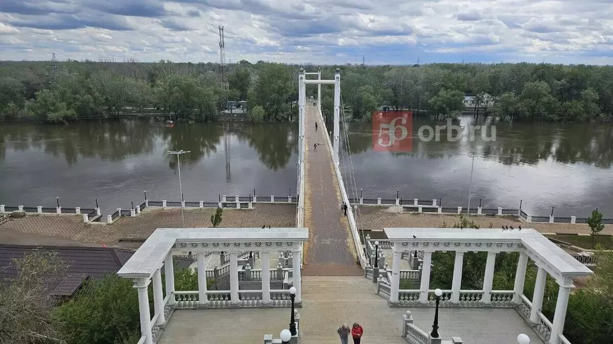 Вода отступает, оставляя разрушения и трупы животных: Оренбуржье после  паводка | 56orb.ru | Дзен