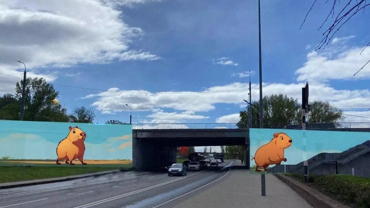     Источник: vk.com/nizhnynovgorod_news