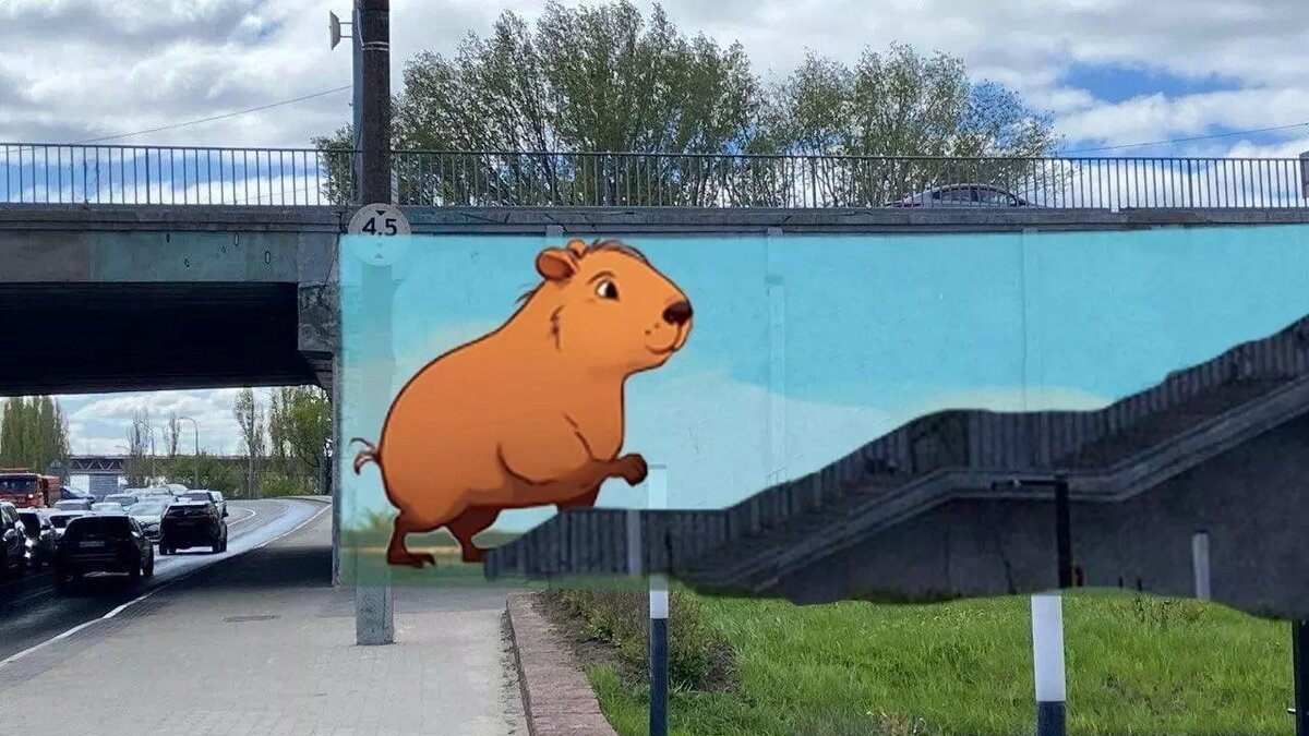     Источник: vk.com/nizhnynovgorod_news