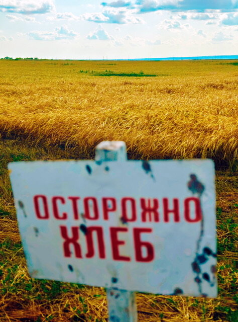 Хлеб без вины