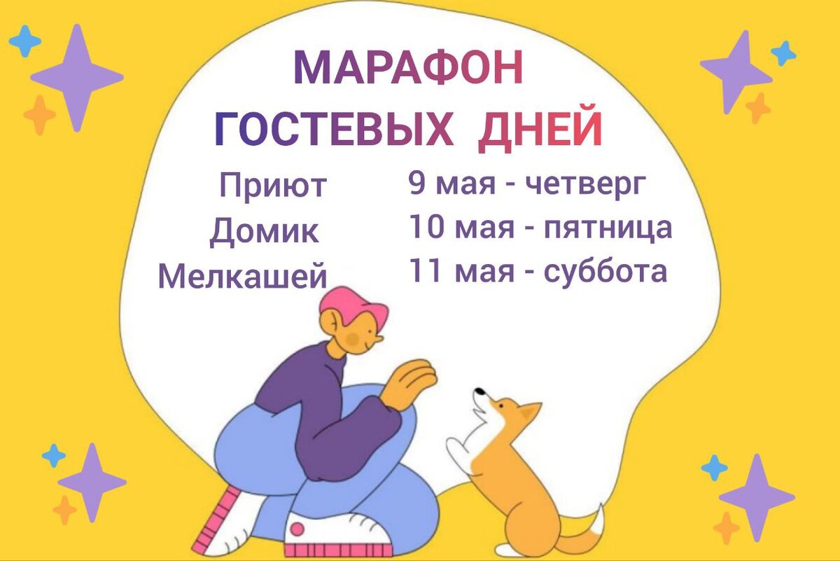 9,10 и 11 мая в Домике Мелкашей гостевые дни! Приезжайте за маленьким  другом в приют❤️ | Домик Мелкашей - приют маленьких собак | Дзен