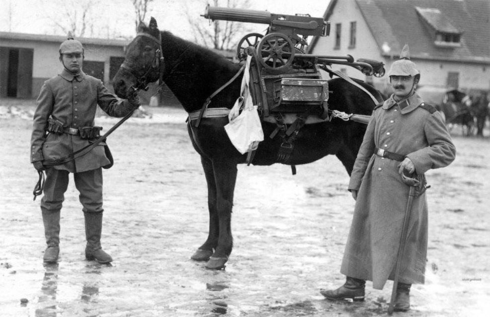 Животные в Первой Мировой войне.