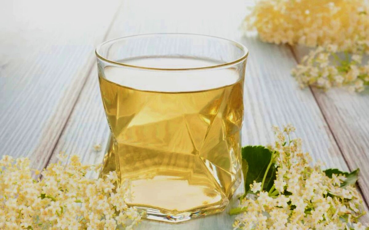 Квас из бузины