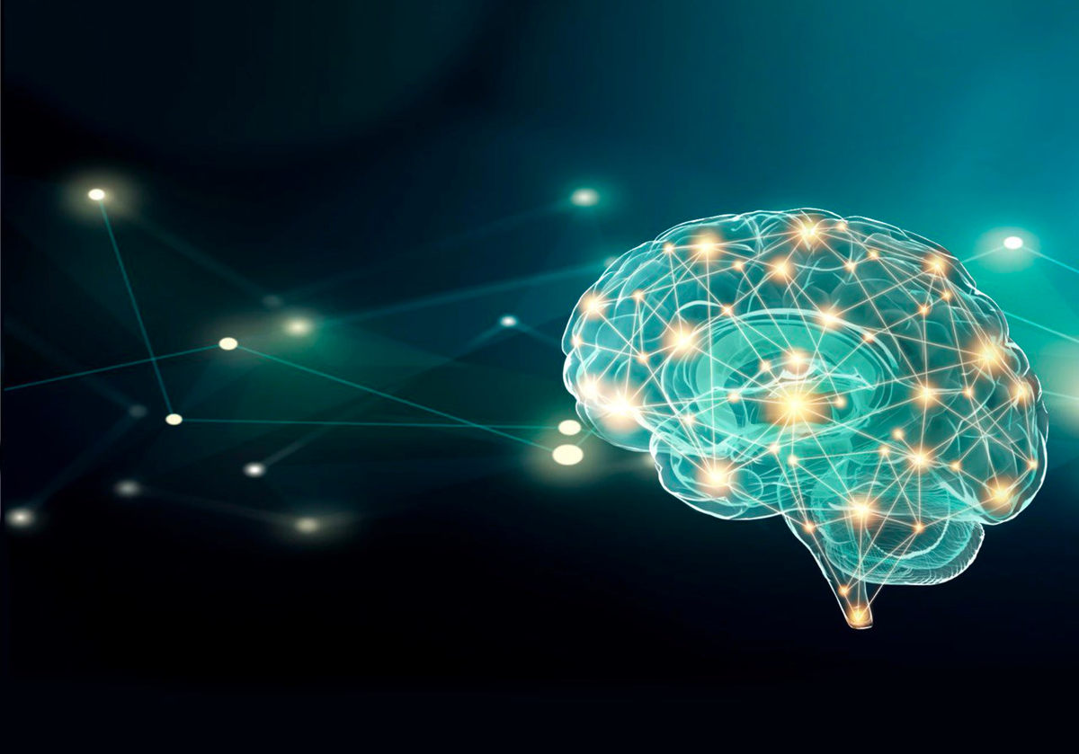 Электрическая активность головного мозга