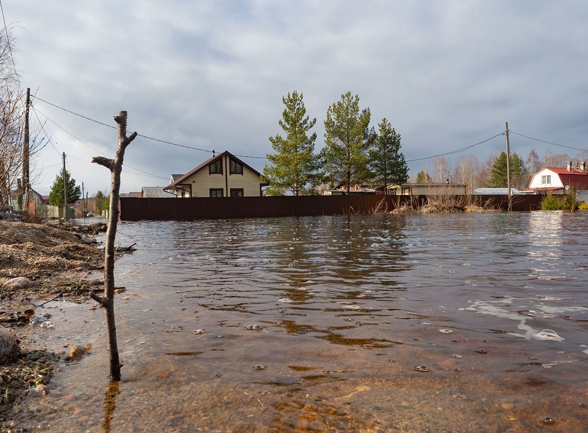 Дачный кооператив в Прионежье уходит под воду | Столица на Онего - новости  Петрозаводска и Карелии | Дзен