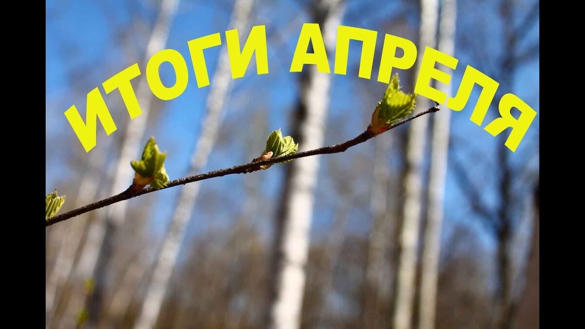 Яндекс картинки