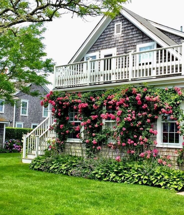 фото взято из открытых источников