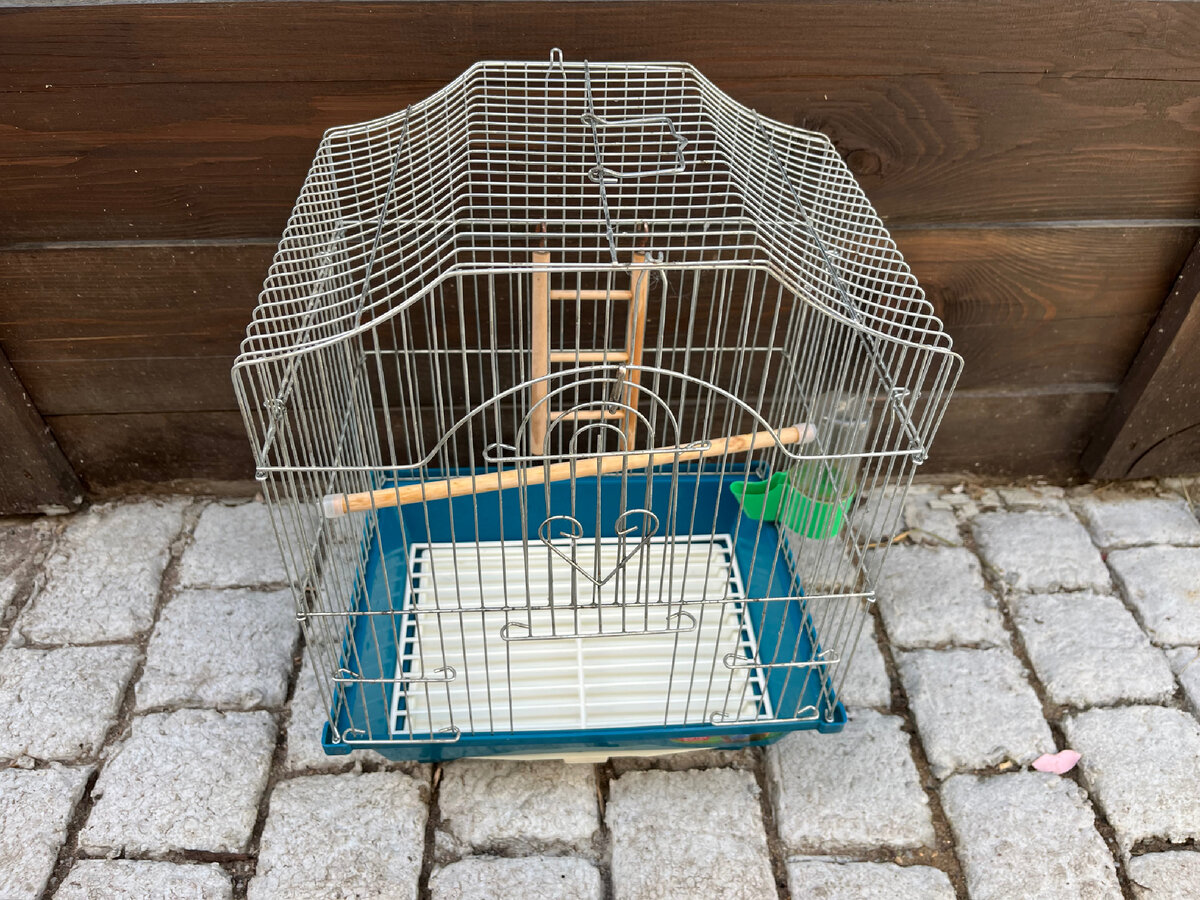 Клетку для попугая привезла к зоомагазину за доп плату ) Люди купили попугайчика , а клетки не было у них )) я в это время как раз поехала мимо по делам и закинула ) 