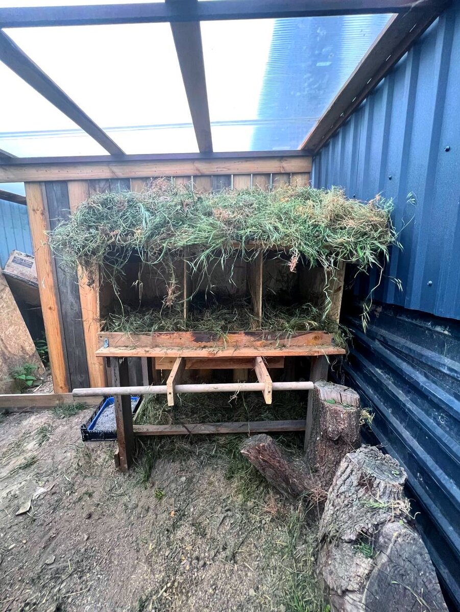 Вилла «Дель Кур» ждет своих постояльцев🫰❤️