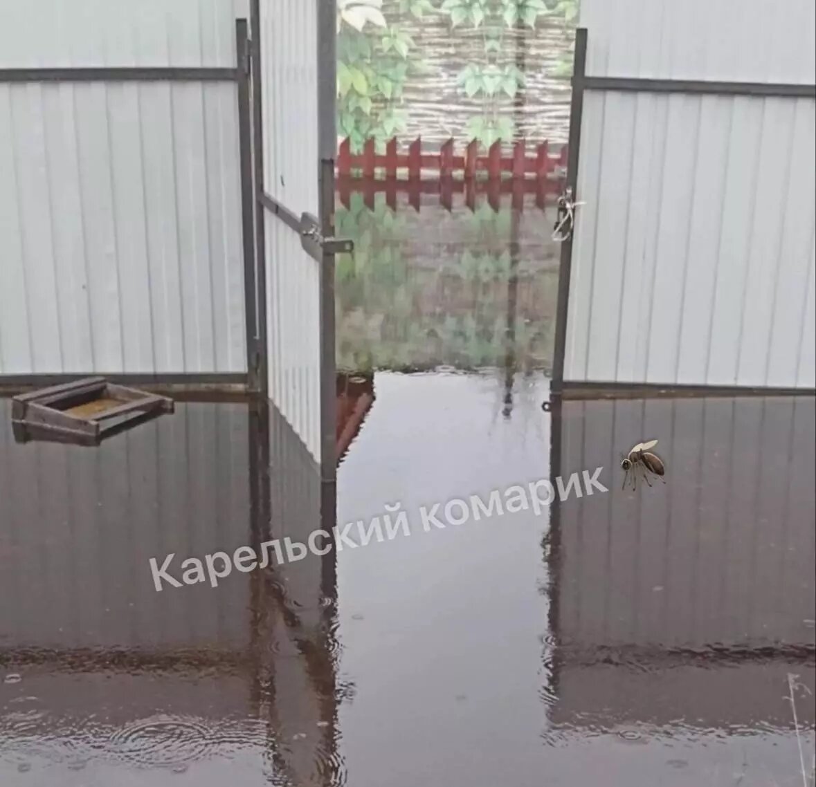     Источник: t.me/karelia_komarik