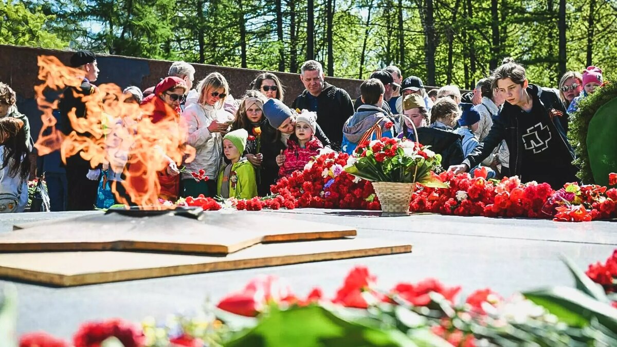     Источник: 1MI